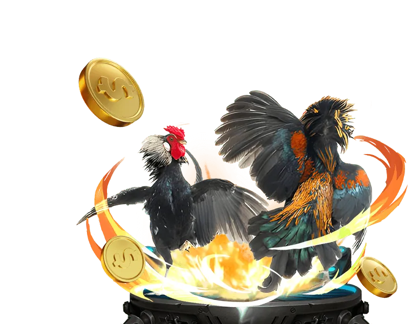 Tổng quan về đá gà trực tuyến i999 game